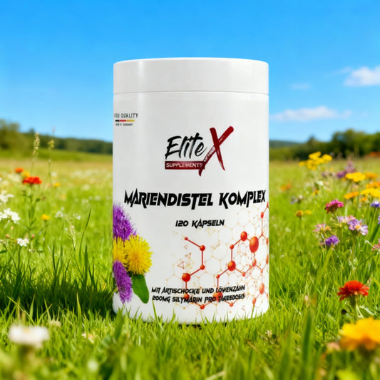 Ihr Frühjahrsputz für die Gesundheit: Der Mariendistel Artischocke Löwenzahn Gesundheitskomplex als Ihr heimlicher Held