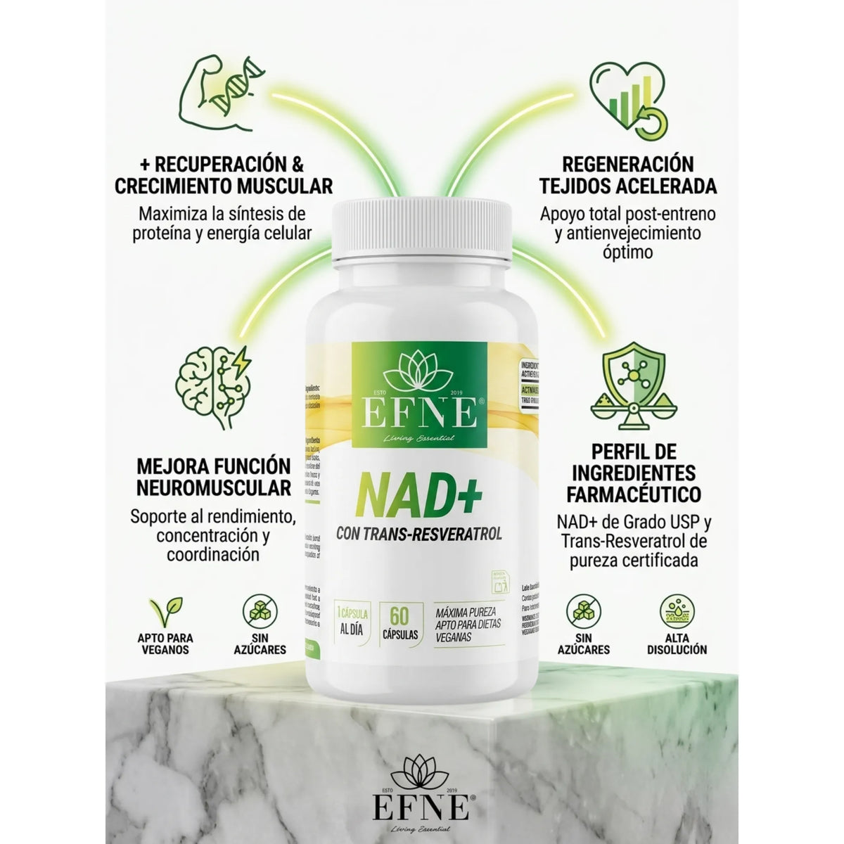 EFNE NAD+ with Trans-Resveratrol